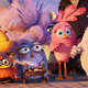Angry Birds (Image: Sony Pictures)